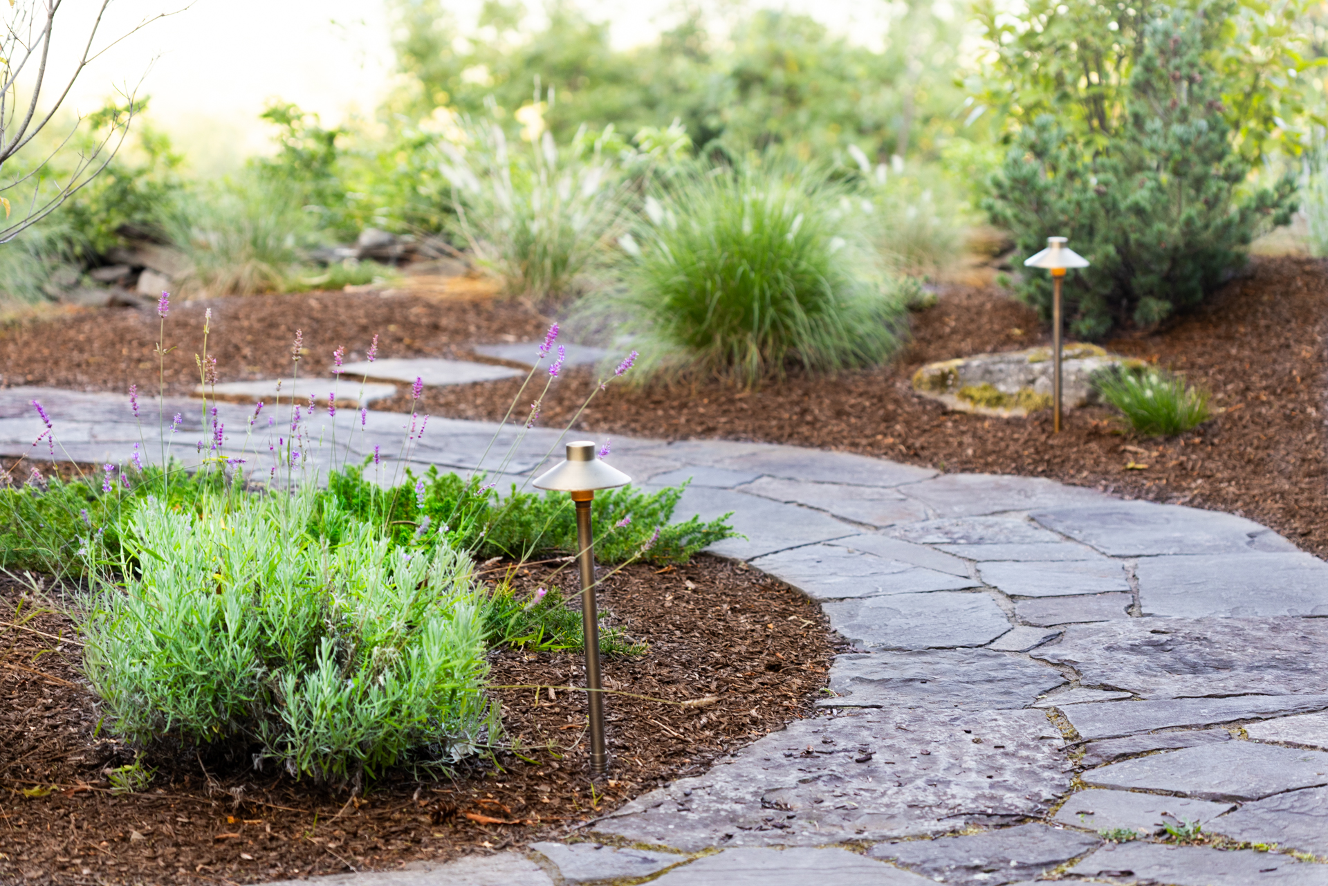 The Magic of Mulch: Why Your Garden's Best Friend Deserves More Love